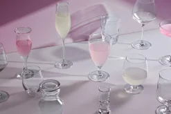 Holmegaard Champagneglas|Champagneglas > Cabernet Champagneglas 6 stk. 29 cl