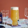 Clearance Holmegaard Mikkeller IPA Ølglas 2 stk. 50 cl