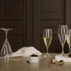 Best Holmegaard Perfection Champagneglas 6 stk. 23 cl