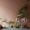 Holmegaard Champagneglas|Champagneglas > Regina Champagneskål 25 cl