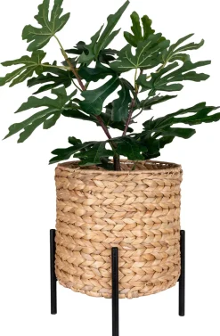 Clearance Antas Planteskjuler H28 cm, Vandhyacint Stue|Urtepotter Og Krukker
