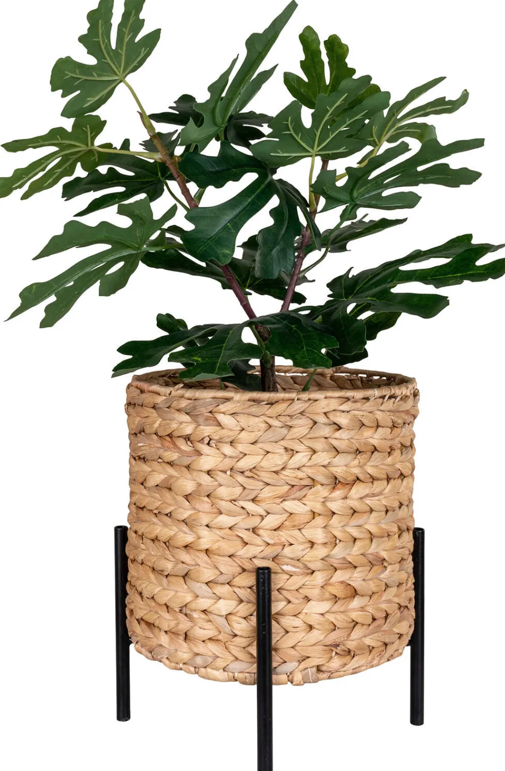 Clearance Antas Planteskjuler H28 cm, Vandhyacint Stue|Urtepotter Og Krukker