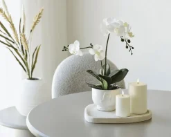 Online Bakke , Beige Stue