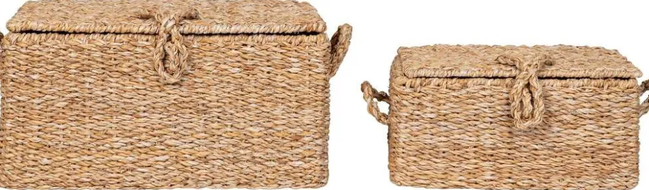 Clearance House Nordic Bogra Kurve 2 stk, Søgræs