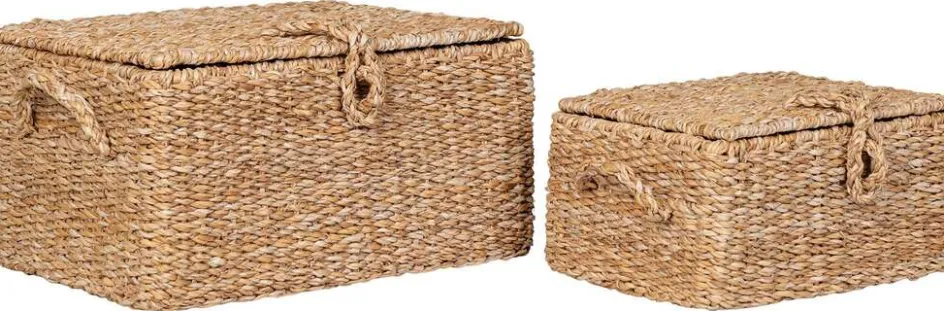 Clearance House Nordic Bogra Kurve 2 stk, Søgræs