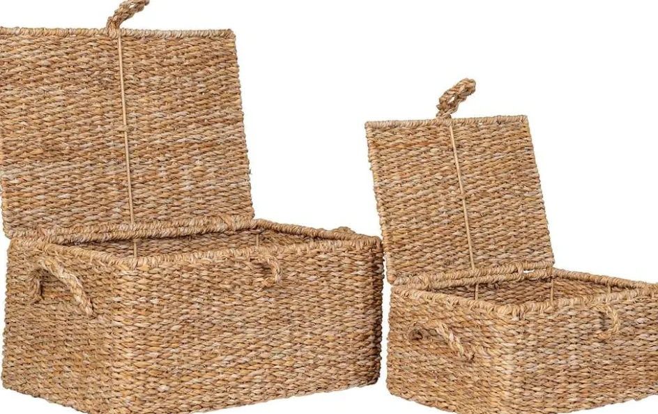 Clearance House Nordic Bogra Kurve 2 stk, Søgræs
