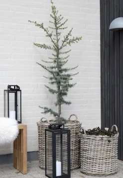 House Nordic Kurve Og Kasser ><noscript><img width=