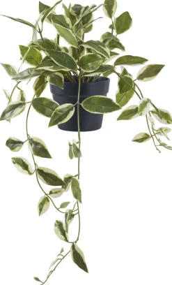 House Nordic Kunstig Voksblomst H33 cm, Grøn