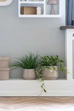 New Trofa Urtepotte 2 stk, Sand Stue|Urtepotter Og Krukker