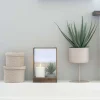 House Nordic Stue > Kunstig Aloe Vera Plante H51 cm, Grøn