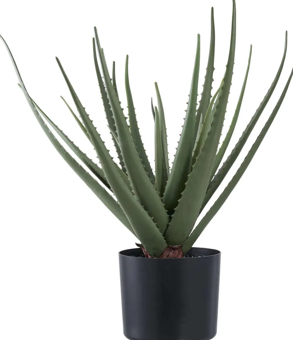 House Nordic Stue > Kunstig Aloe Vera Plante H51 cm, Grøn