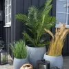 House Nordic Stue > Kunstig Poa Græs H68 cm, Grøn