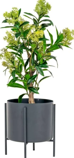 House Nordic Stue > Kunstigt Skimmiatræ H75 cm