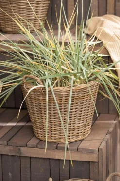 Sale Ib Laursen Kurv H, Rattan