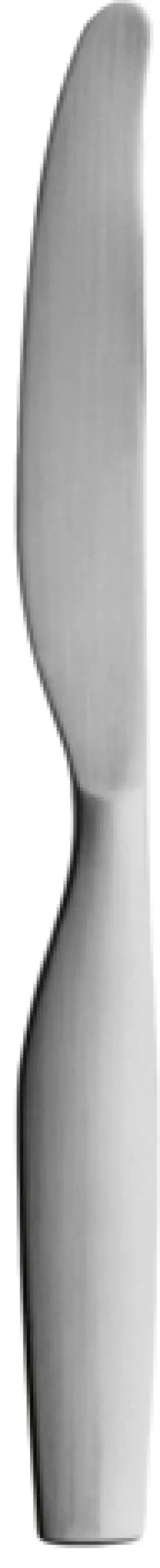 Iittala Knive > Citterio 98 Dessertkniv, Mat Stål