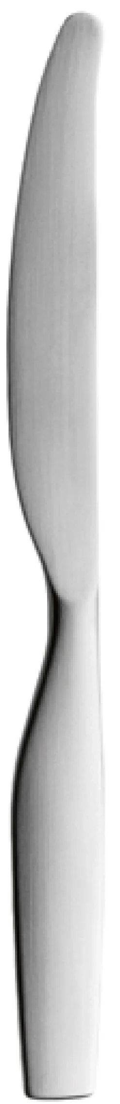 Iittala Knive > Citterio 98 Kniv, Mat Stål