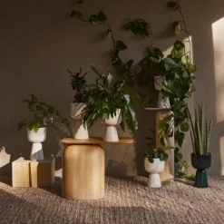 Iittala Stue|Urtepotter Og Krukker ><noscript><img data-lazyloaded=