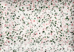 Iittala Middagstallerkener > Oiva Toikka Collect Tallerken , Pink/Grøn