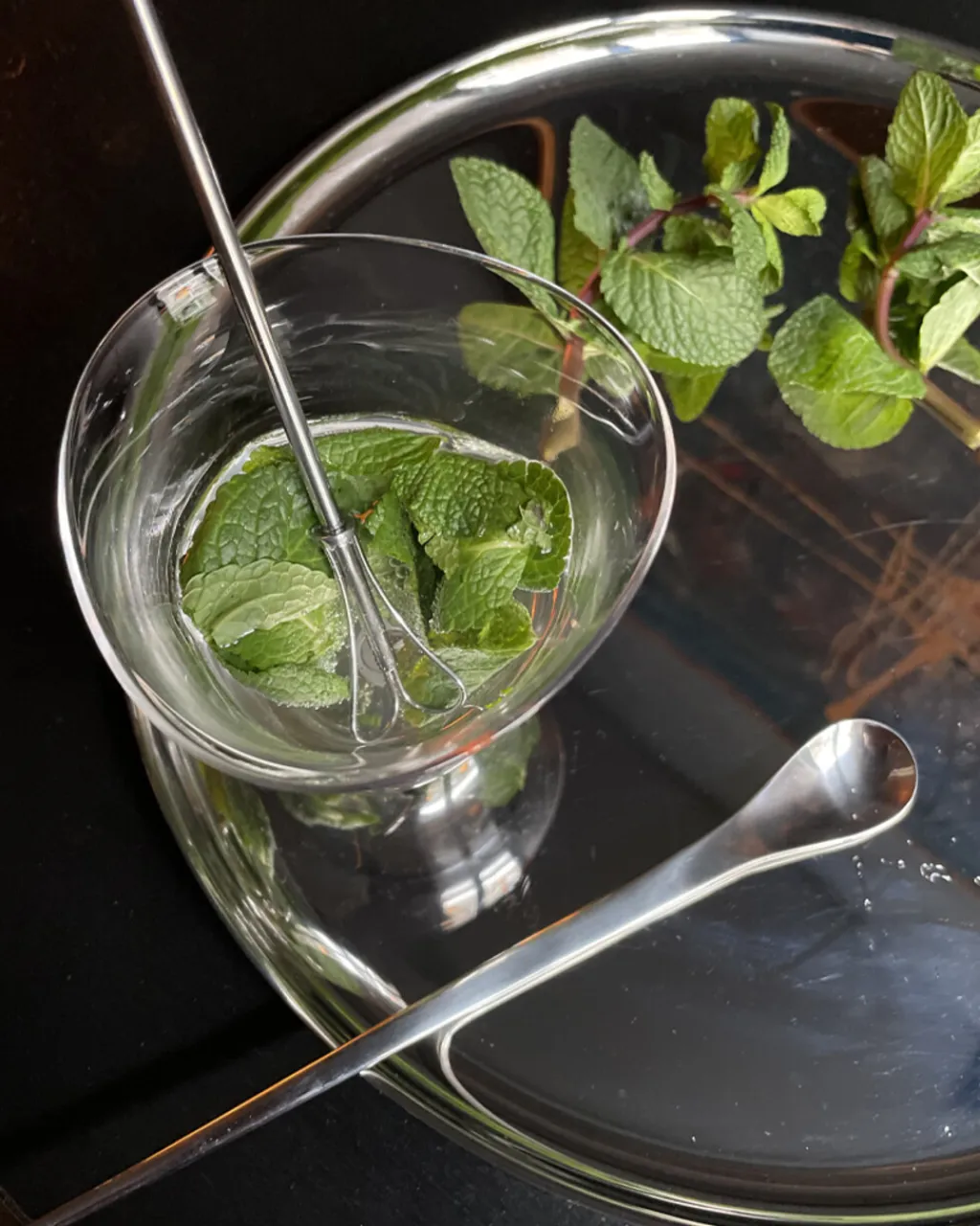 Clearance Cocktailske 25,5 cm, Poleret Stål Barudstyr