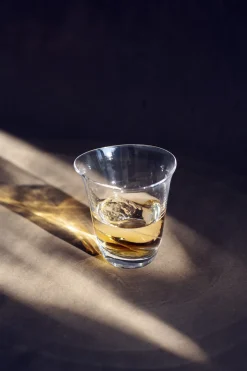 New Glas 2 stk. 20 cl Vandglas
