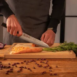 KOTAI Japanske Knive > Densho Gyuto Kniv , Pakkatræ