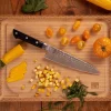 Sale Hashi Tsuchime Gyuto Kokkekniv 20 cm, Rustfrit Stål Japanske Knive