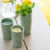 Clearance Koziol BLOMSTER Kop 350 ml, Nature Leaf Green