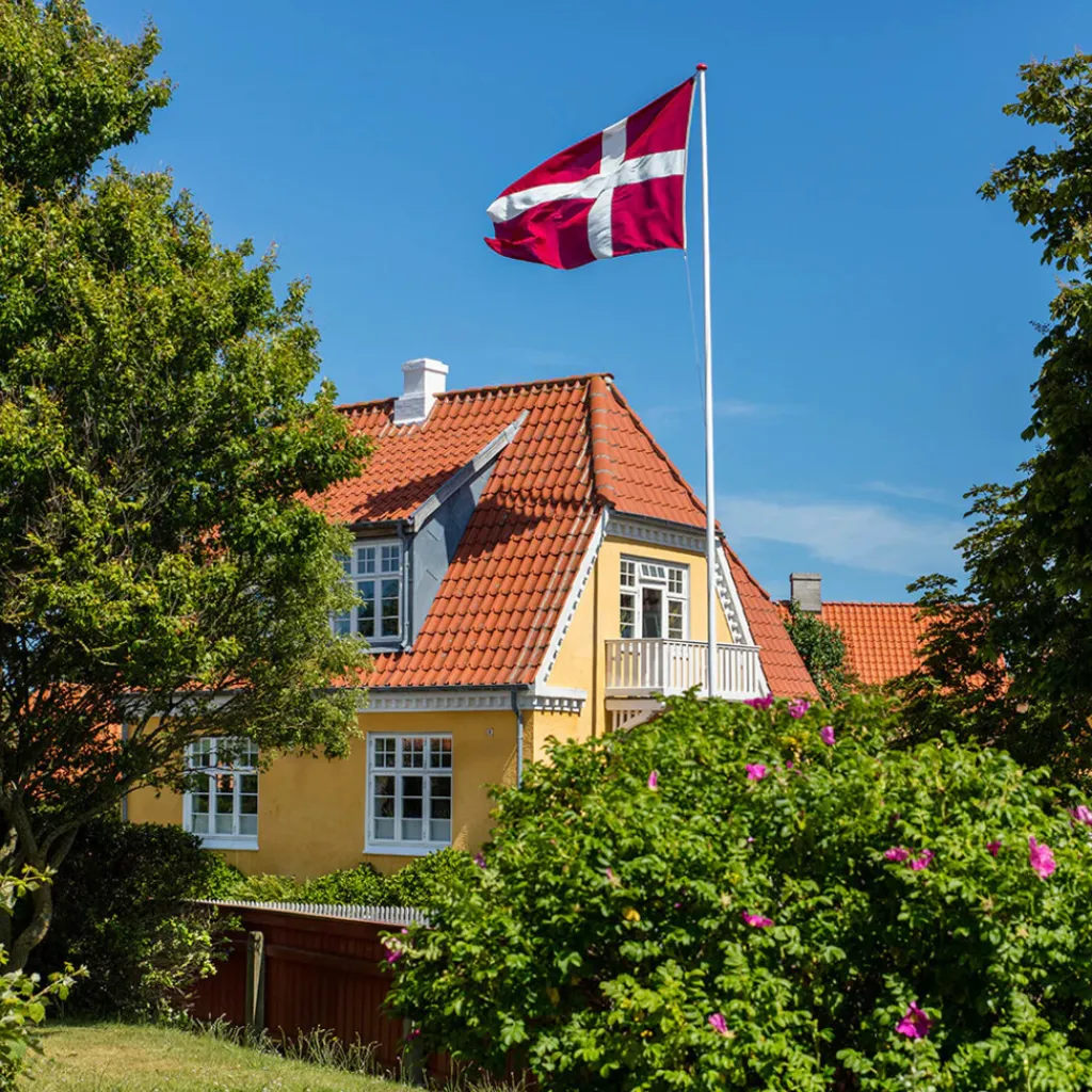 Langkilde & Søn Uderum > Luksus Dannebrogsflag til Flagstang