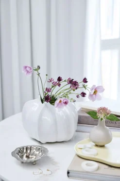 Discount Scallia Skål , Sølvfinish Fade