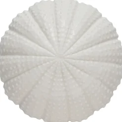 Sale Shellille Søpindsvin 15,5 cm, Hvid Dekorationer