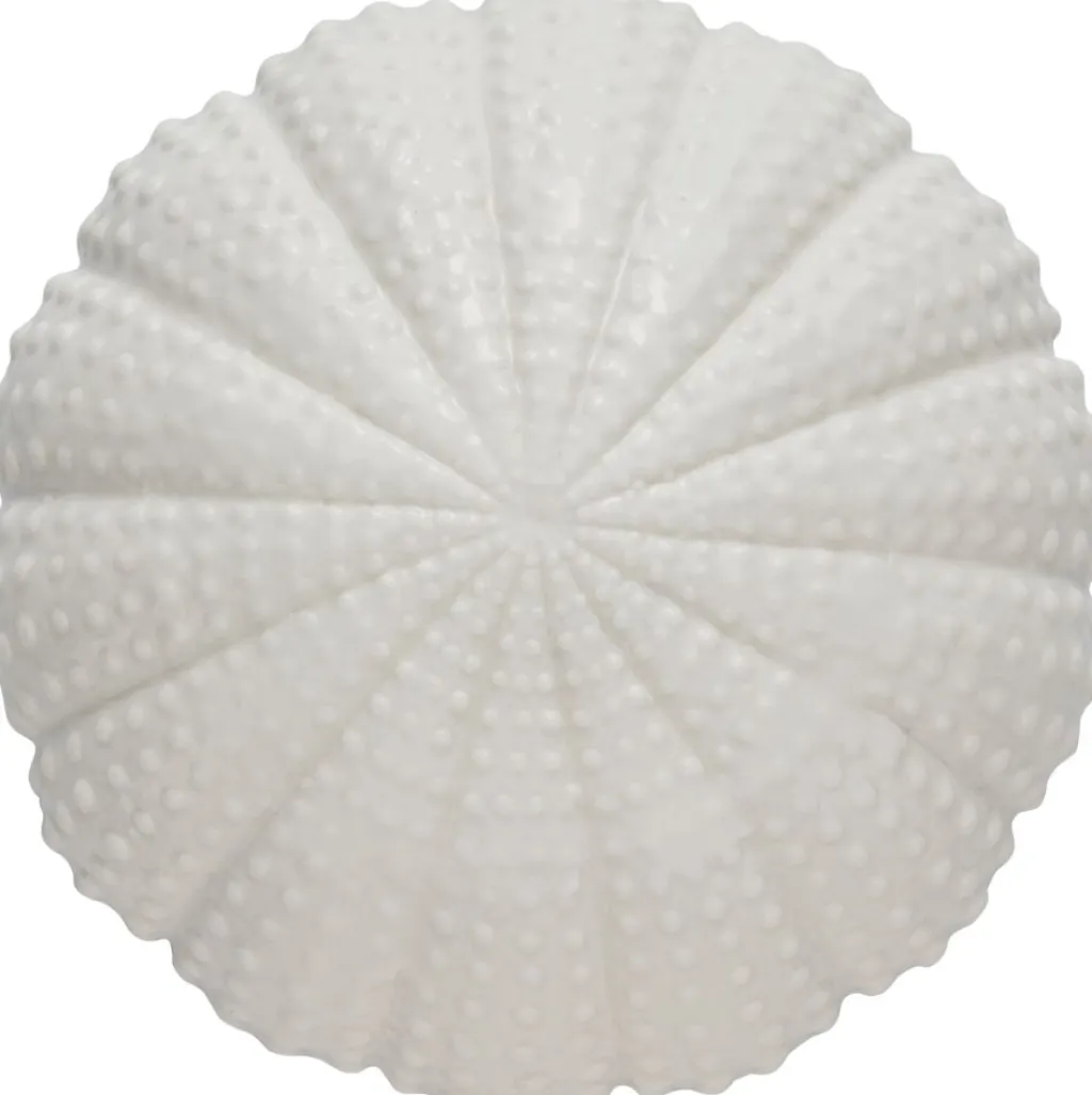 Sale Shellille Søpindsvin 15,5 cm, Hvid Dekorationer