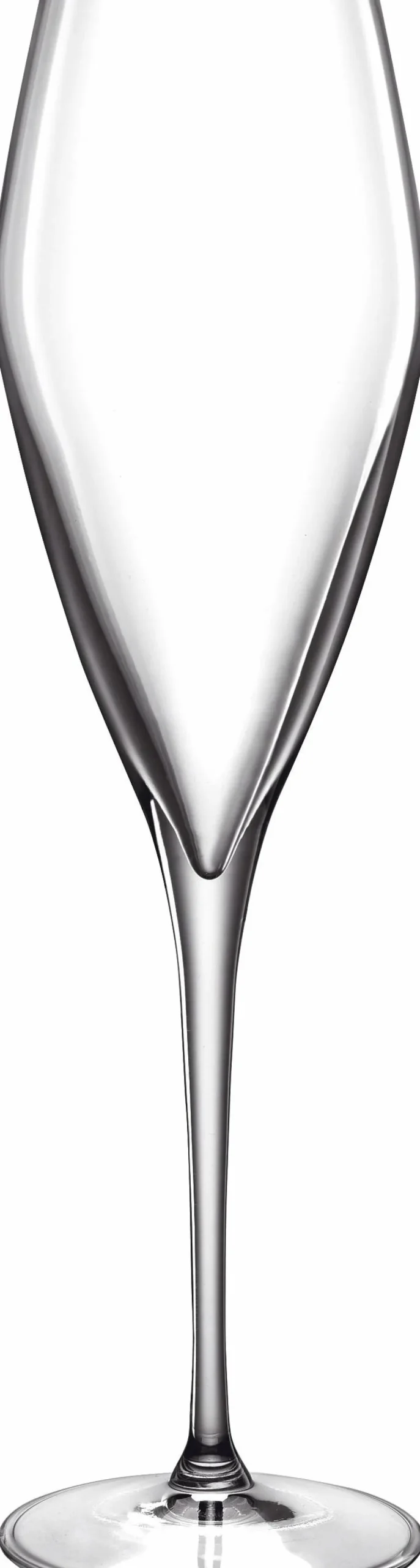 Luigi Bormioli Champagneglas|Champagneglas > Atelier Prosecco/Champagneglas 2 stk. 27 cl