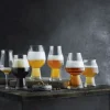Luigi Bormioli Ølglas > Birrateque Ølglassæt Ale og Hvede Tester 6 stk.