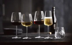 Best Luigi Bormioli Talismano Rødvinsglas 2 stk. 75 cl
