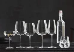Luigi Bormioli Talismano Champagneglas 2 stk. 40 cl