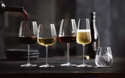 Luigi Bormioli Talismano Champagneglas 2 stk. 40 cl