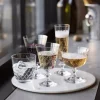 Lyngby Glas Champagneglas|Champagneglas > Eaton Champagneskål 2 stk. 28 cl