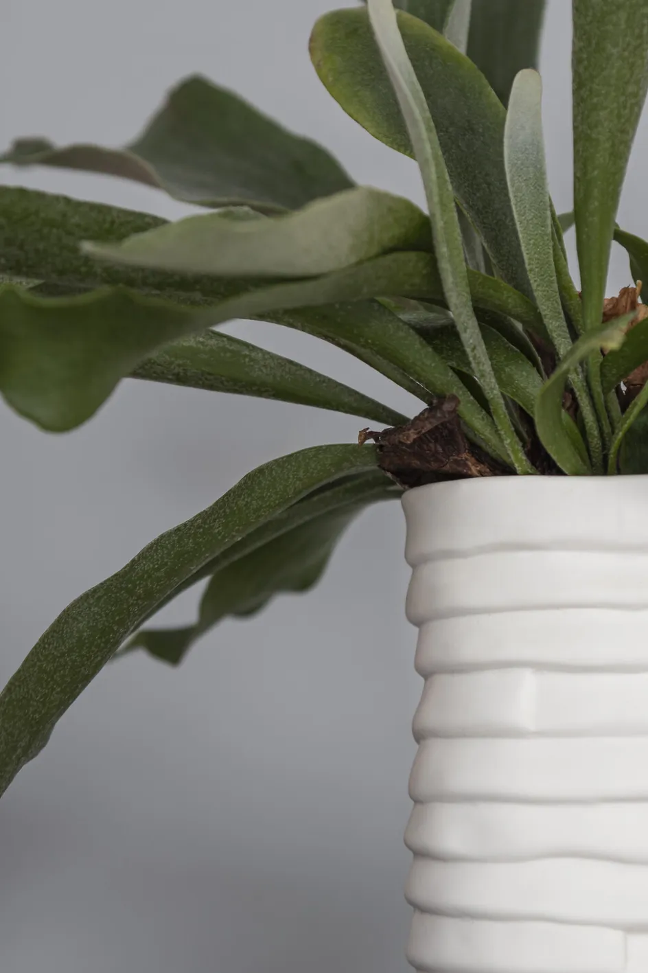 Clearance Mette Ditmer Ribbon Vase H, Hvid