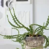 Mette Ditmer Stue|Urtepotter Og Krukker > Raw Krukke H15,5 cm, Off-white