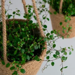 MOUD Home Stue|Urtepotter Og Krukker > Jute Hængepotte H16 cm, Natur
