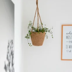 MOUD Home Stue|Urtepotter Og Krukker ><noscript><img width=