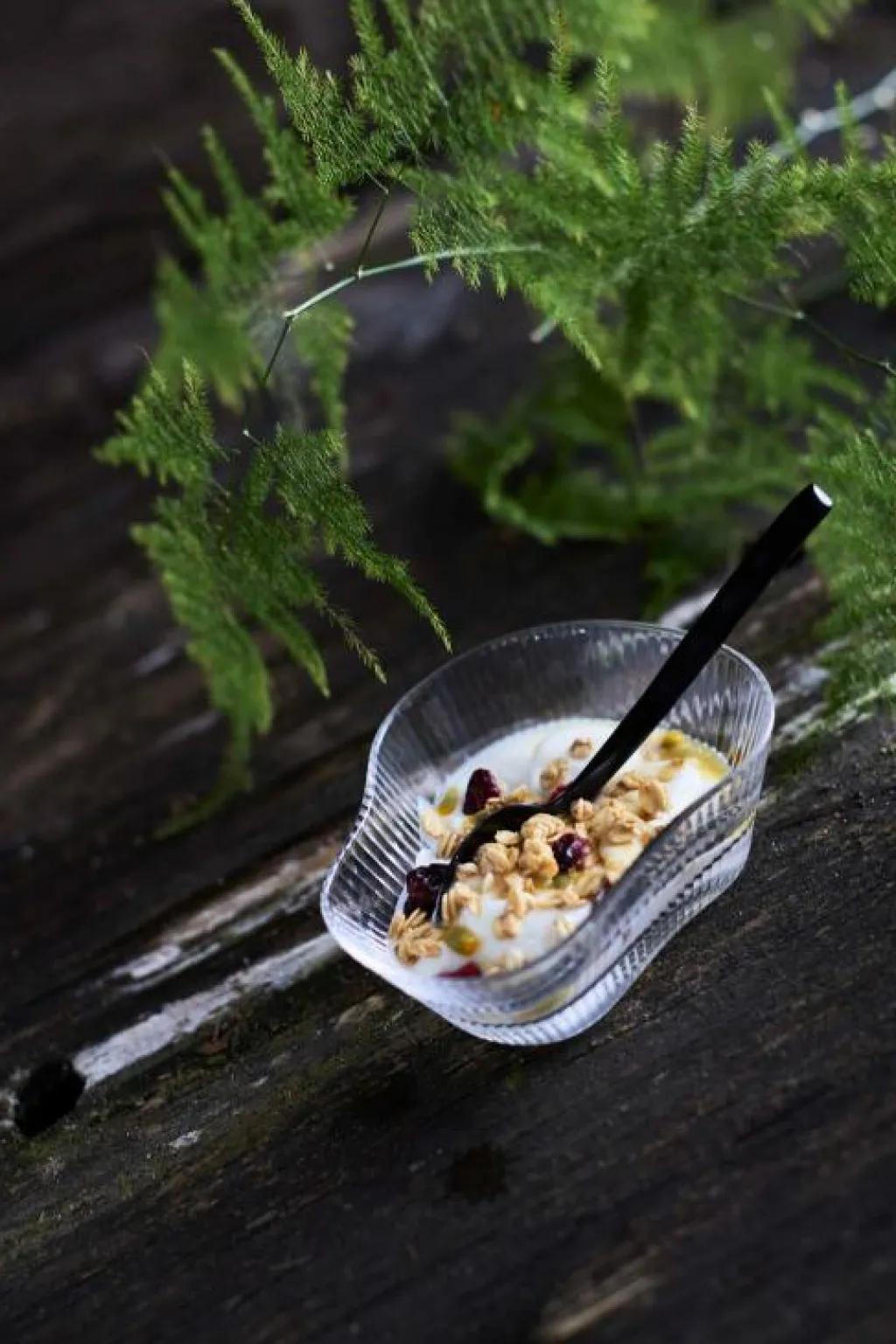 Muubs Skåle|Spisestue > Ripe Snackskål 4 stk. Ø12 cm, Klar