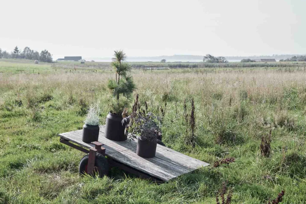 Muubs Stue|Urtepotter Og Krukker > Sai Krukke H, Rust