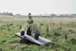 Hot Sai Krukke H, Rust Stue|Urtepotter Og Krukker
