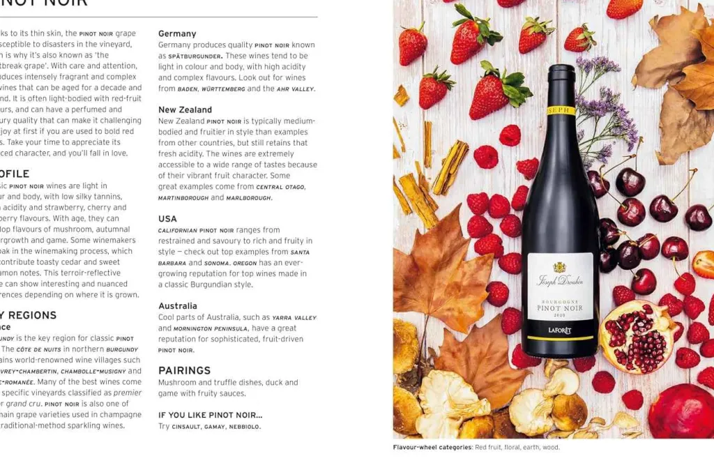 Coffee Table Book Wine Taste Pair Pour Coffee Table Books|Stue