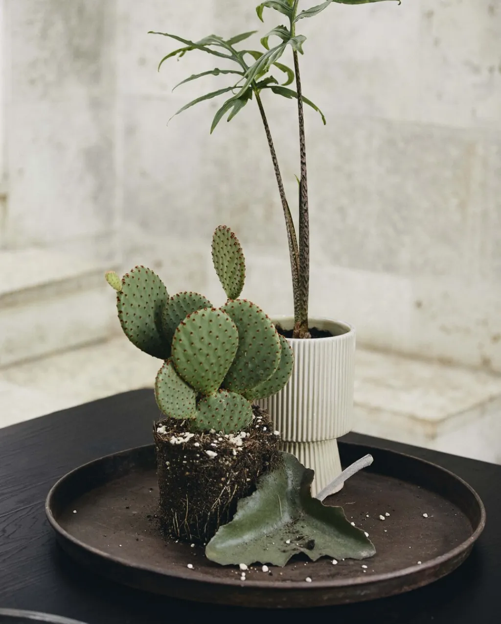 New Lombok Fad 45 cm, Antik Serveringsbakker|Stue