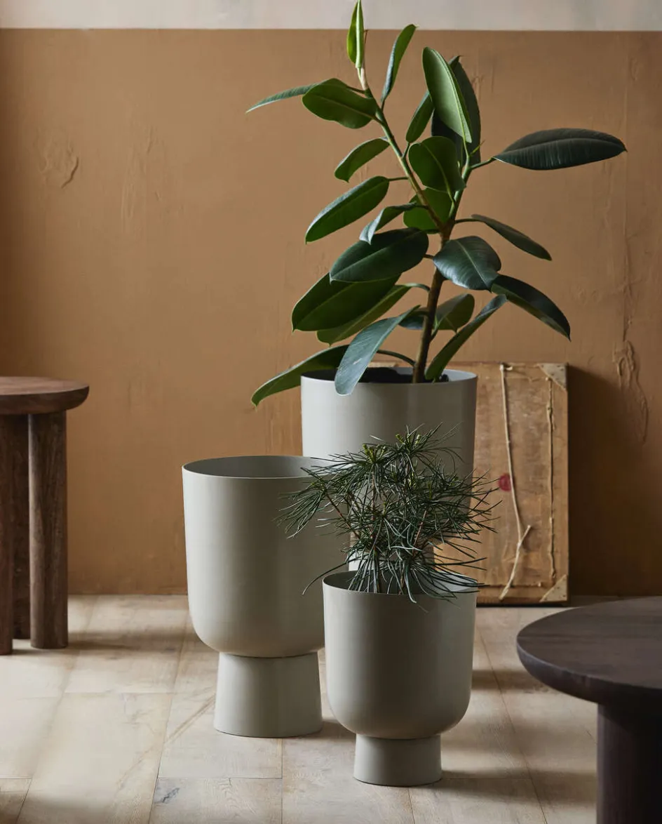 Clearance Nordal Galoa Urtepotte H, Beige