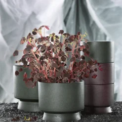 Best Recycled Urtepotteskjuler H, Stue|Urtepotter Og Krukker