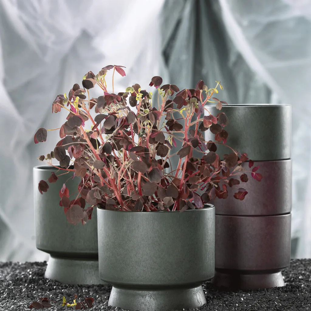 Best Recycled Urtepotteskjuler H, Stue|Urtepotter Og Krukker