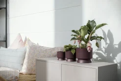 Online Recycled Urtepotteskjuler H, Stue|Urtepotter Og Krukker